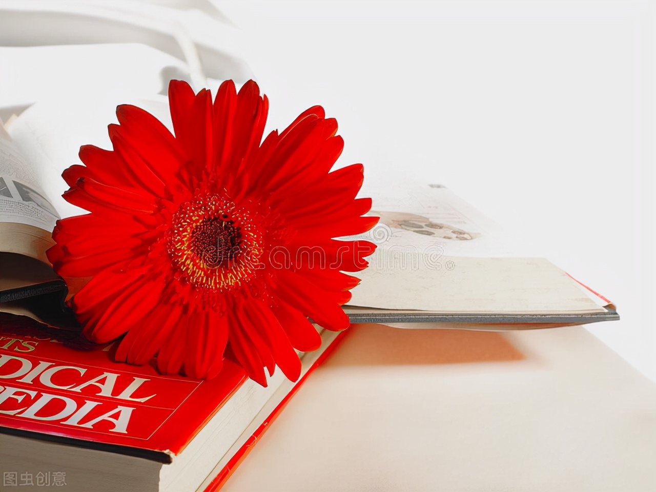 女性为什么有时候会轻微的异味,女性大腿两侧潮湿有异味是什么病