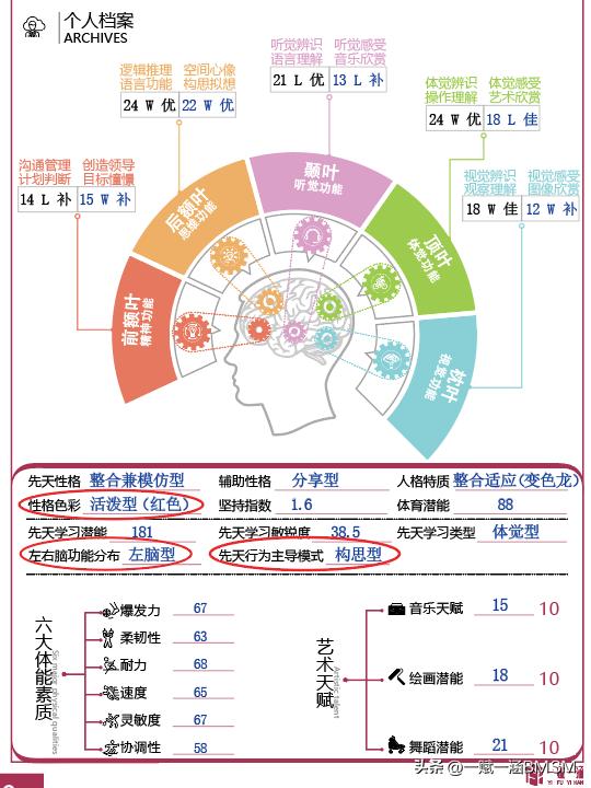 【一赋一涵BMSM天赋测评】性格色彩特点深度解析
