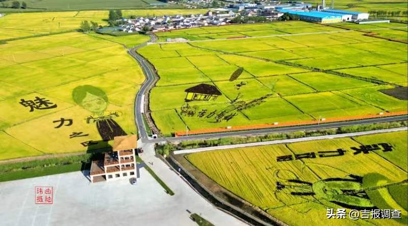 曙光镇曙光村,曙光镇乡村振兴