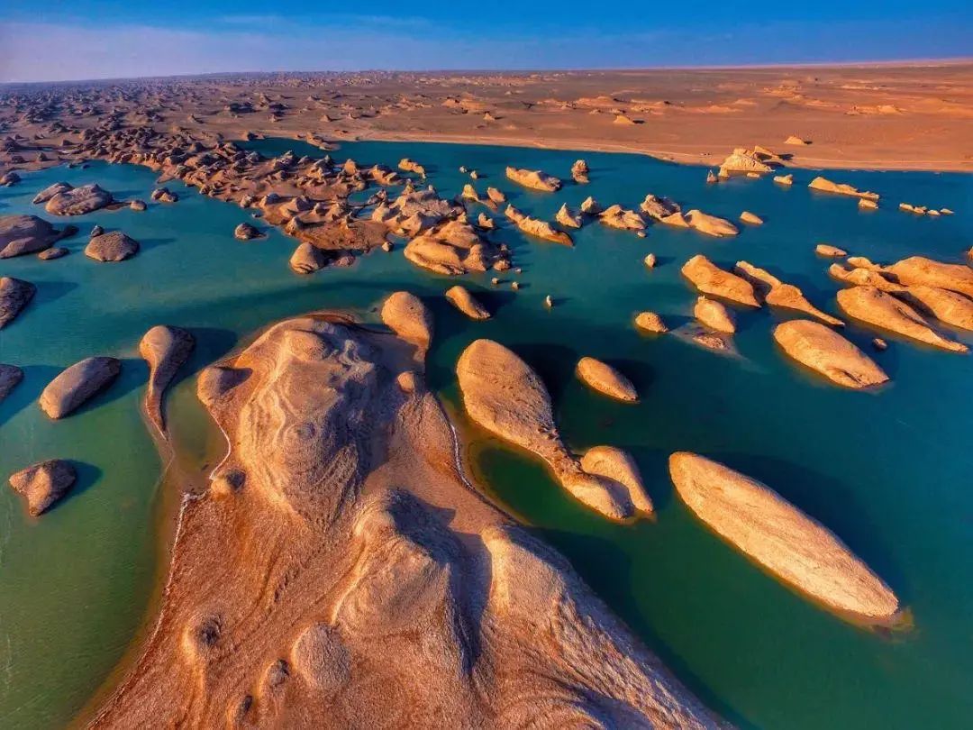 我愿和你一起奔赴理想和未来,我愿背上行囊随你去远方