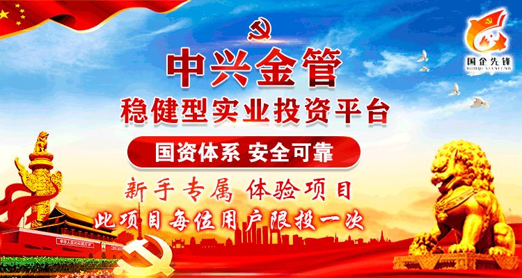 嘉兴经开产业基金投资管理有限公司,中兴金管：ST板块是什么意思