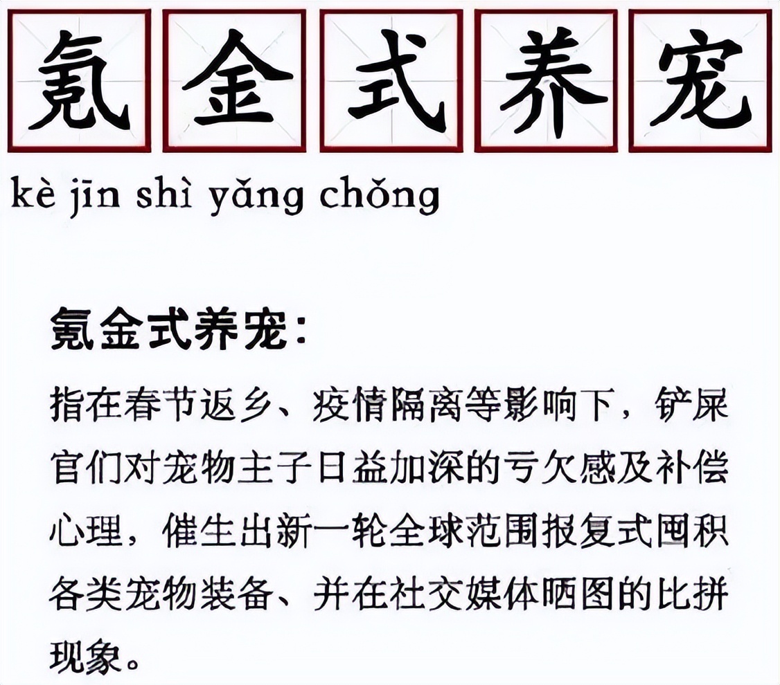 最可爱的萌宠排行榜,萌宠可爱程度排行榜