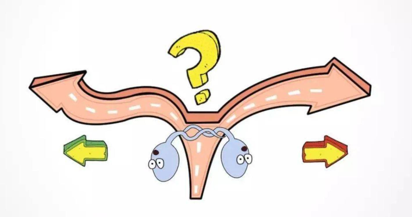 太心酸了:进入女性体内后,精子可能会被“累死”!看完别笑