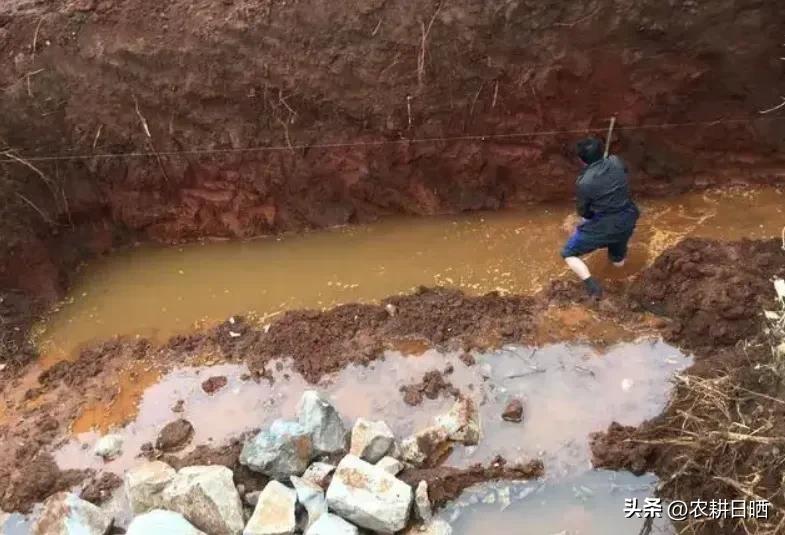 广西民工挖到骨灰罐,1980年广西民工挖到骨灰罐