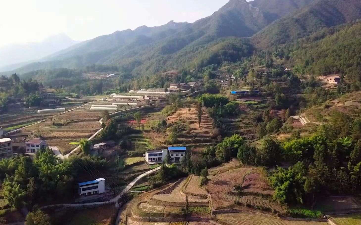 我在农村做什么才能赚钱,在老家卖干果挣钱吗