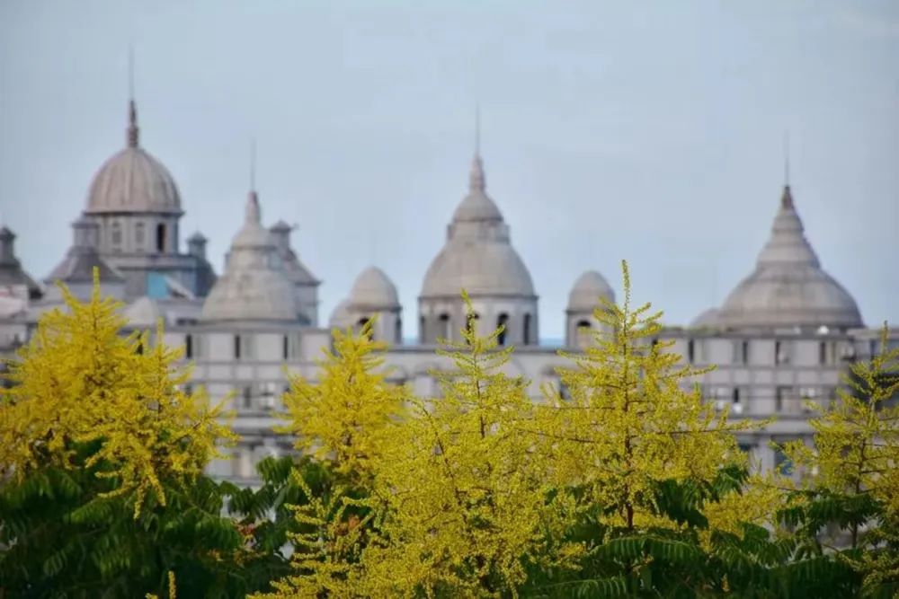 成都市金牛区协同外语学校,成都金牛区协同外国语学校初中招生