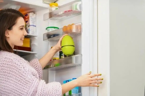 什么牌子的冰箱除菌效果最好,冰箱哪种净味除菌系统最好