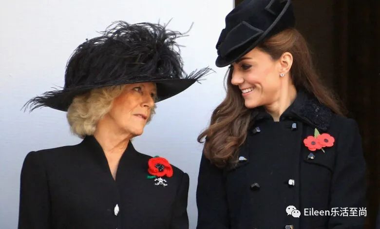 造谣儿子出轨？王室婆媳多年宫斗竟生出这么多瓜？