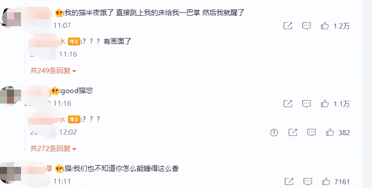 唯品会猫粮推荐,成年猫粮性价比推荐