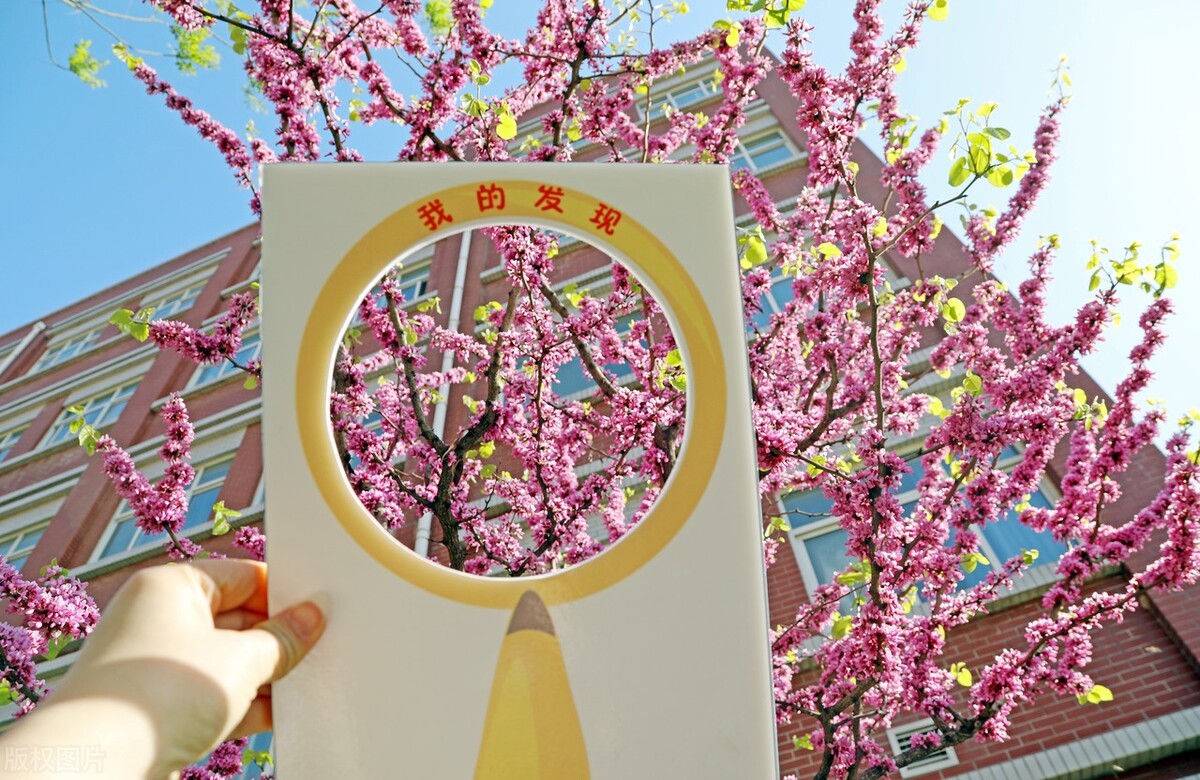 初中读完怎么选高中技校,成绩很差高中和技校怎么选择