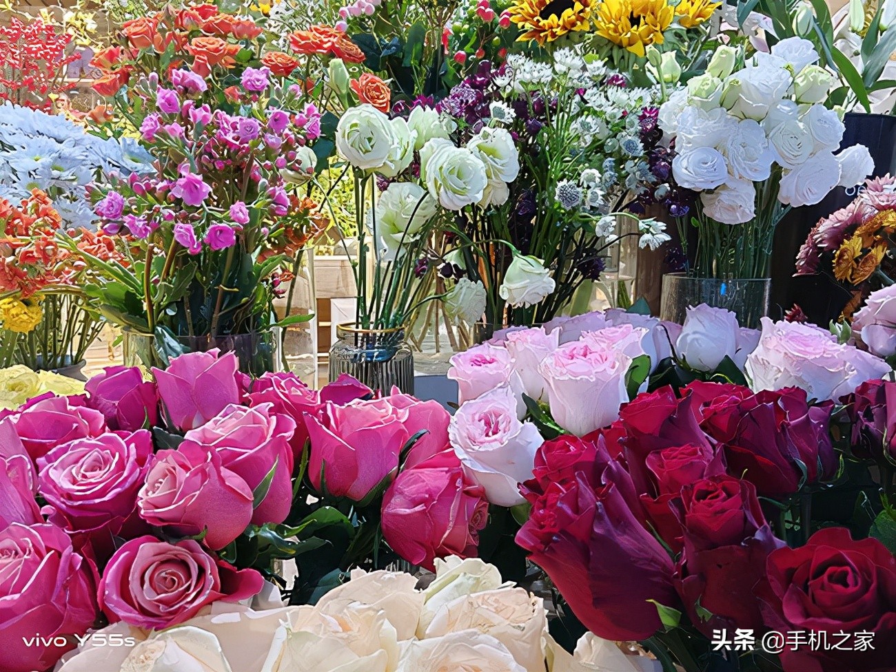 vivoy55s原神测评,vivoy55s新品上市6000mah