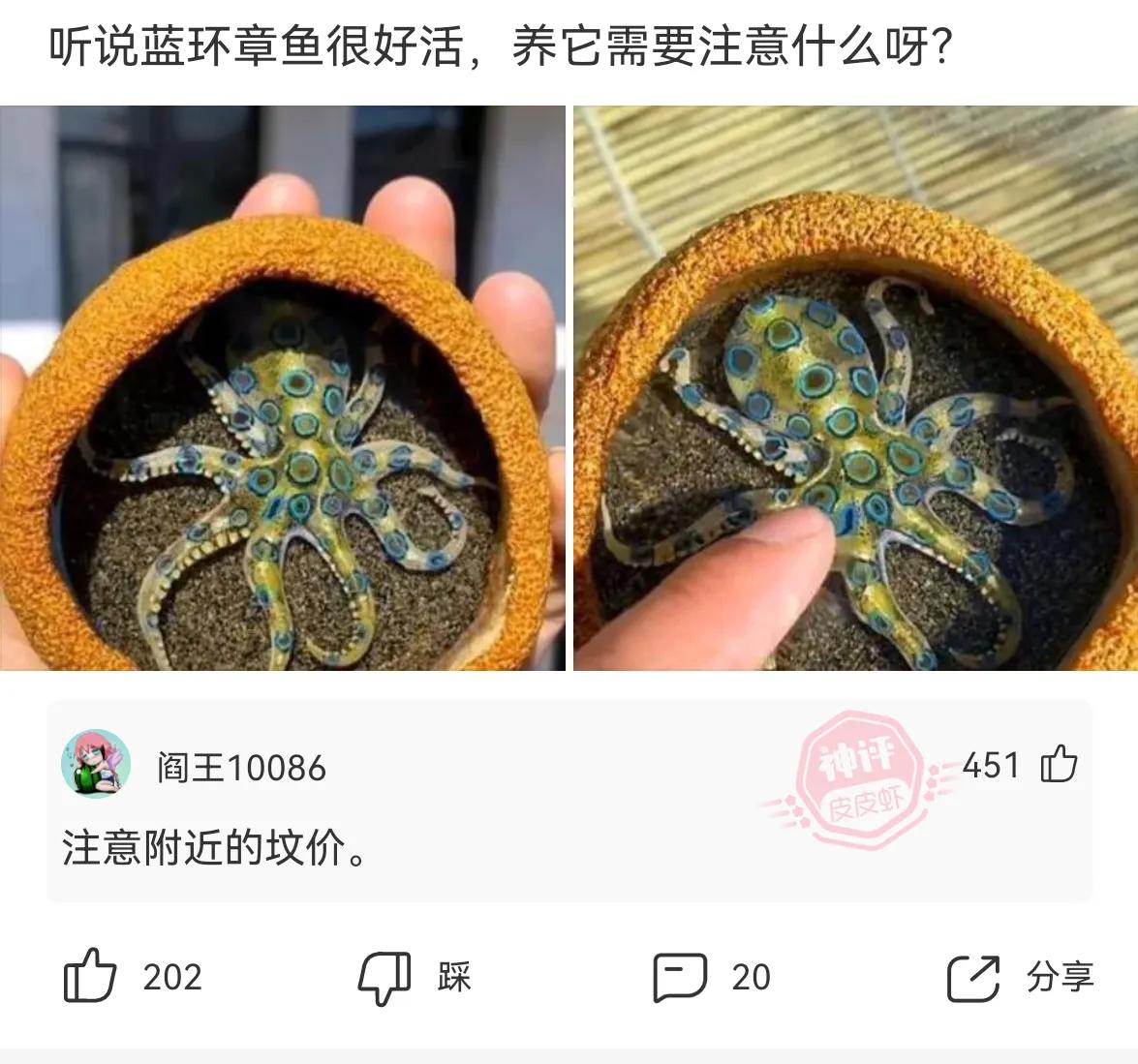 神回复男子,神回复唐僧