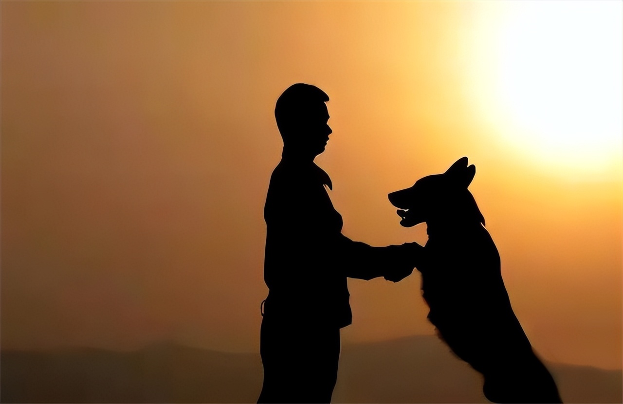 汶川地震搜救的事件,汶川地震惨烈救援人员回忆哭了