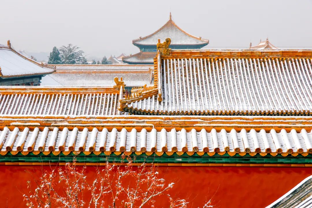 冬日诗词里雪的十种美,36首冬雪诗词带你感受冬日的雪