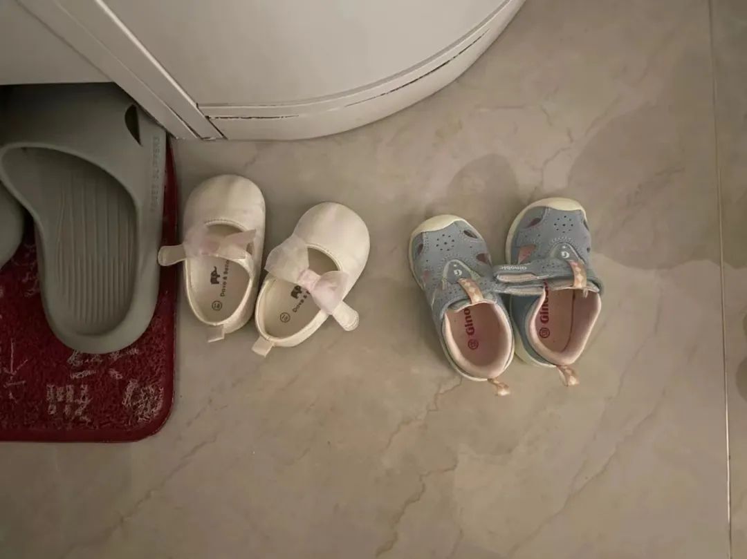 Moments｜创业者的2022：Recharge，劫后新生，海葵复苏了