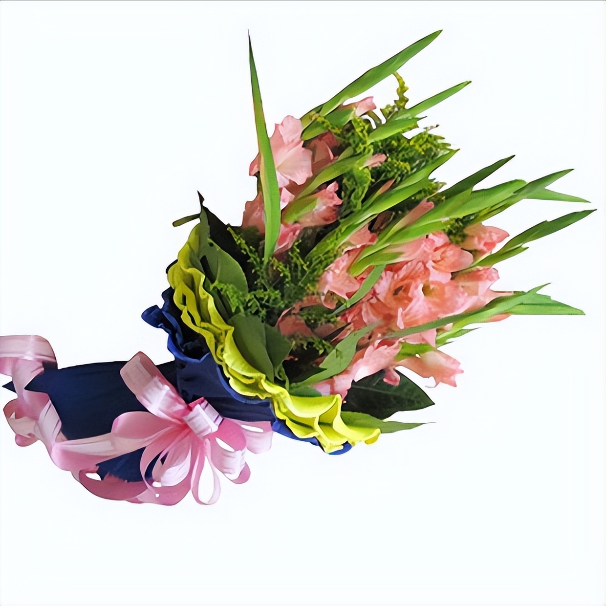 给女儿送花选什么花,给女朋友送花选什么样子的花