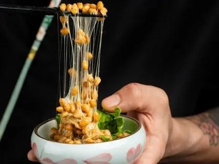 纳豆日语学习,纳豆日语学习视频