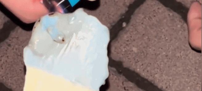 2020年令人哭的新闻,2022年所有让人流泪的新闻