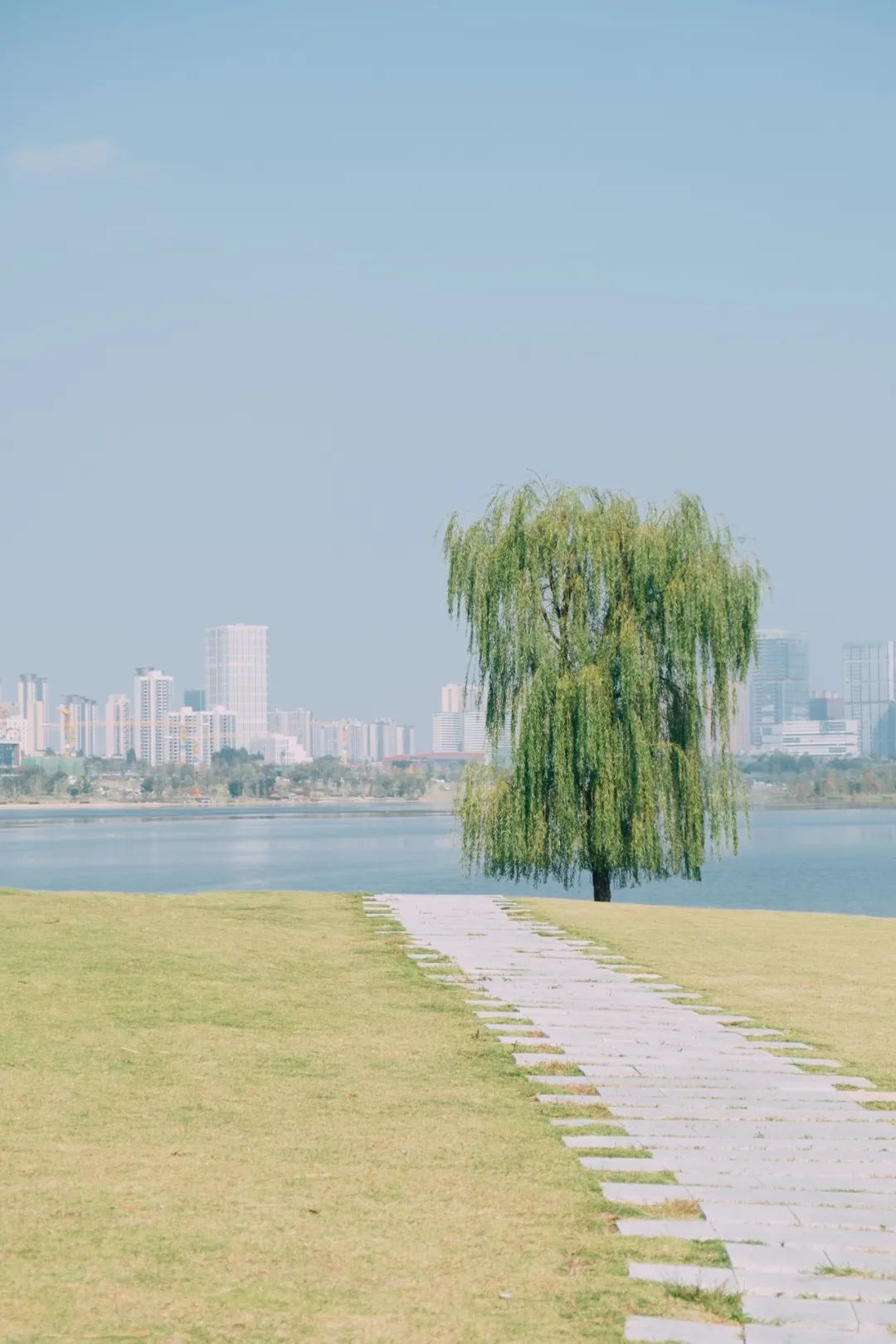 成都有哪些公园值得一去,成都必去的公园排行榜最新名单