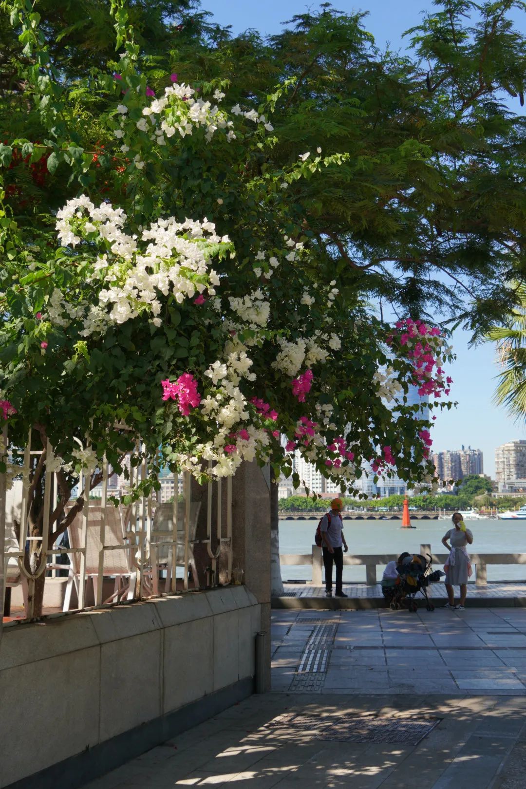 值得去的旅游景点鼓浪屿,旅游攻略鼓浪屿
