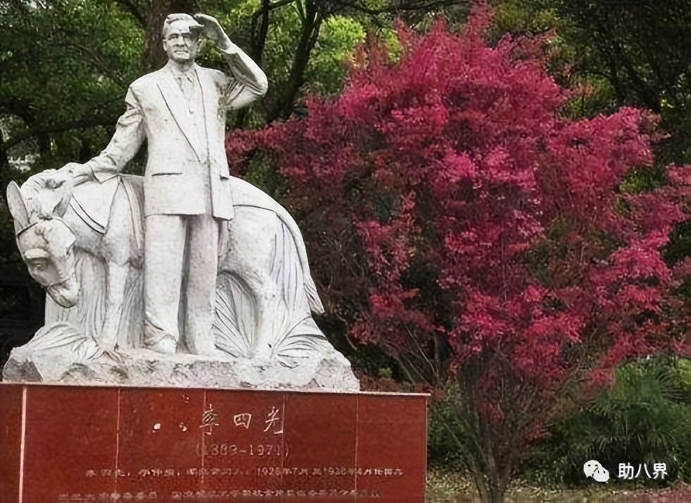 武汉十大旅游景点排名,武汉江夏网红打卡景点大全