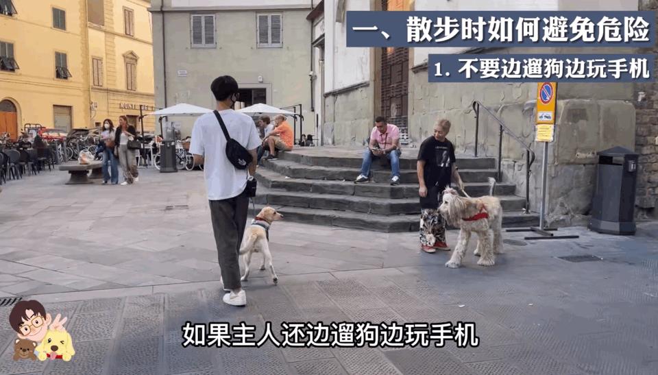 为了让狗狗不吃粑粑,我花5000元给它报了个班