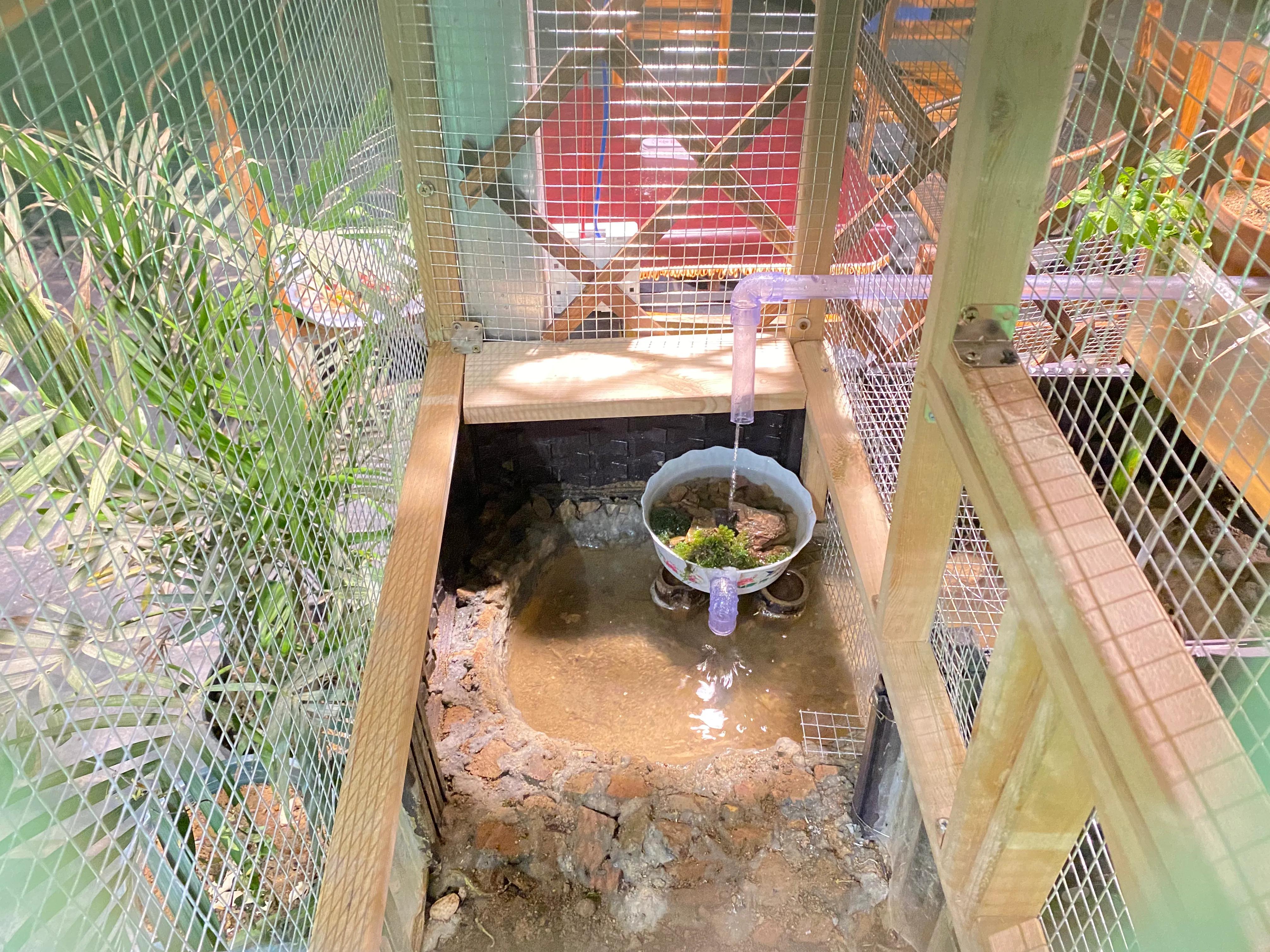 生态八哥鸟笼水循环制作过程,生态画眉鸟鸟笼制作全过程