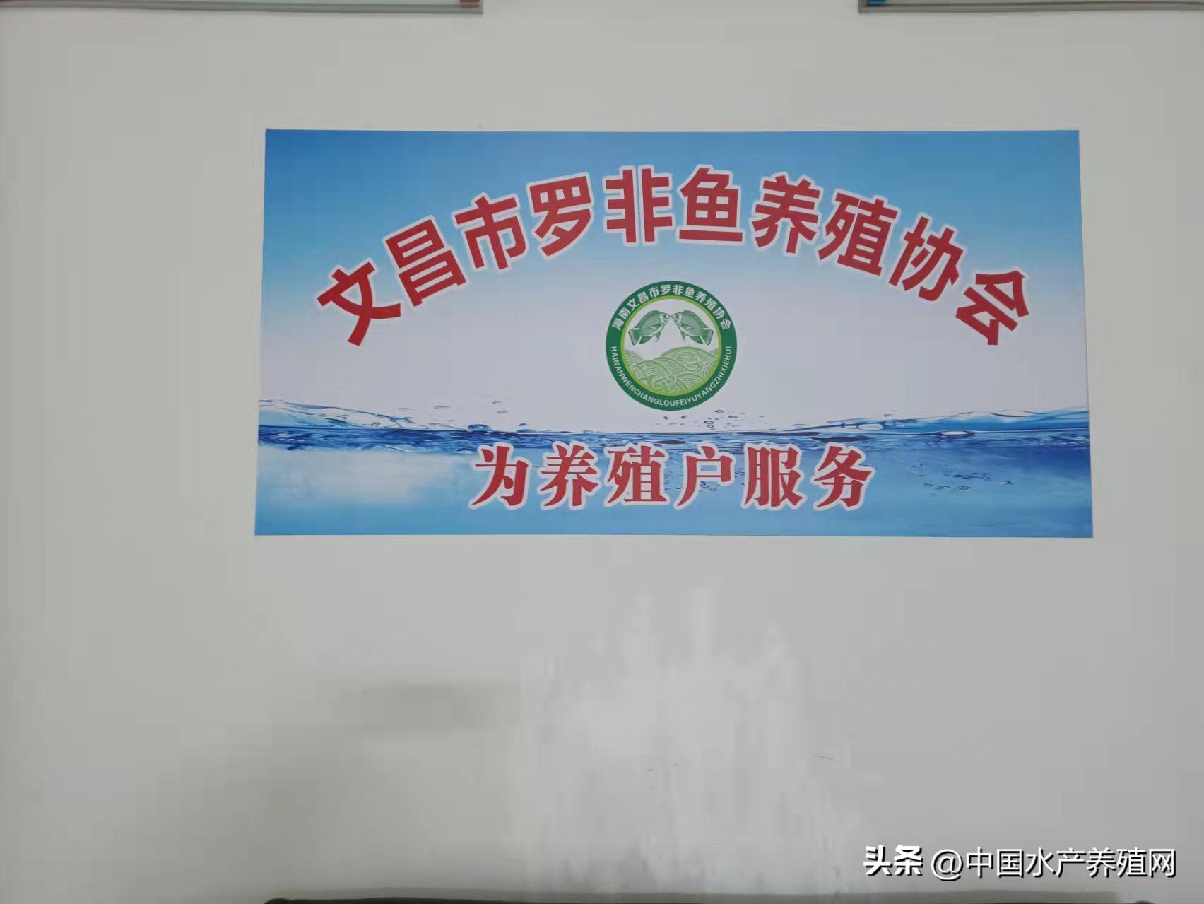 海南罗非鱼产业现状,海南罗非鱼产业