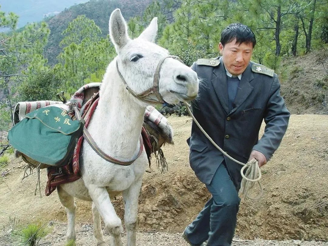 怎么还没人曝光中国邮政“真面目”？