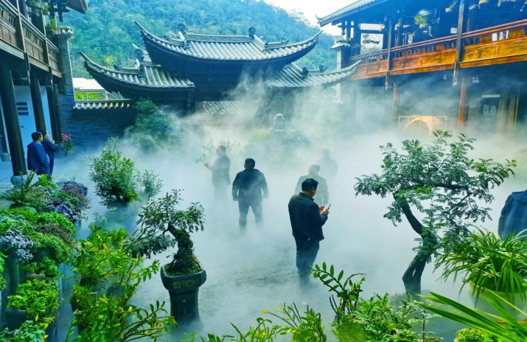 六郎城仙草秘境门票有几个景区,六郎城仙草秘境门票多少钱一个人