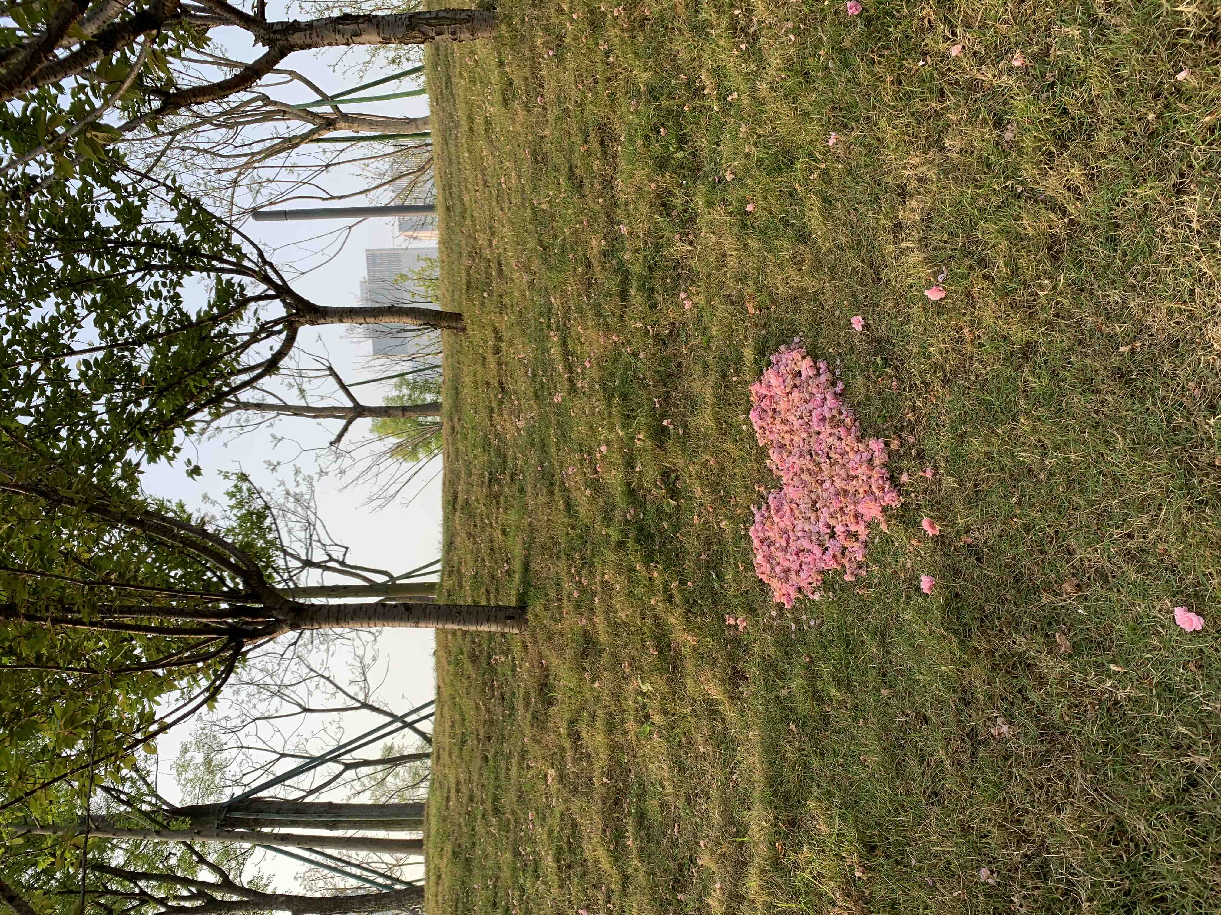 相识相知相守相爱一生,相知相伴值得托付