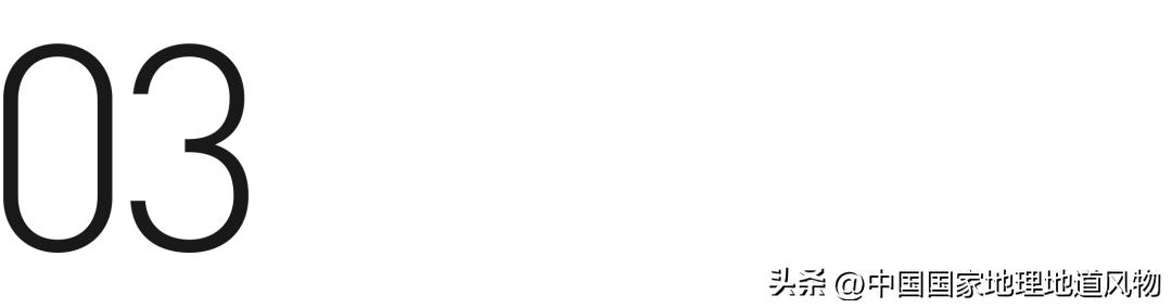 全国各地吃猪图鉴,哪个地方吃的猪最多