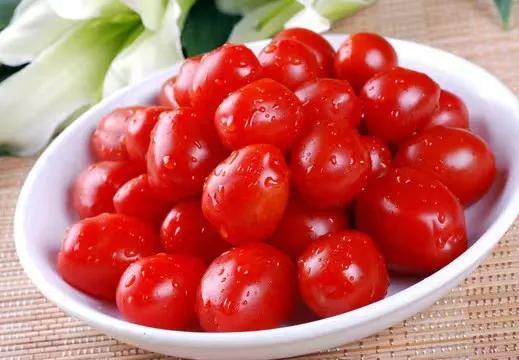 猪鼻龟和龙鱼一起养怎么喂食,猪鼻龟混养什么小鱼最好