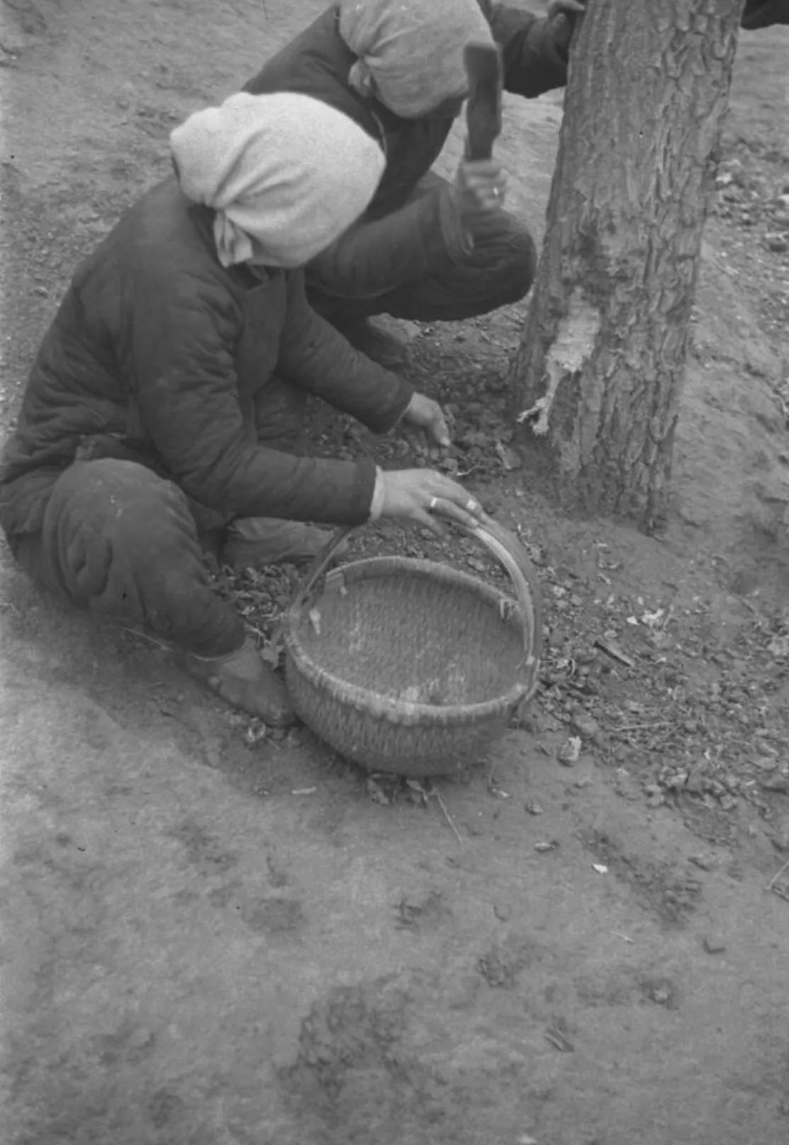民国时期的一张老照片,民国晚清的老照片