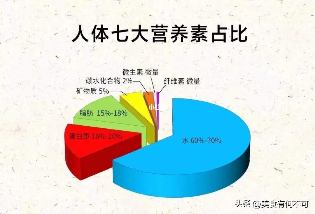 健康科普4个原因让你悄悄长胖,为什么很容易长胖却不容易瘦