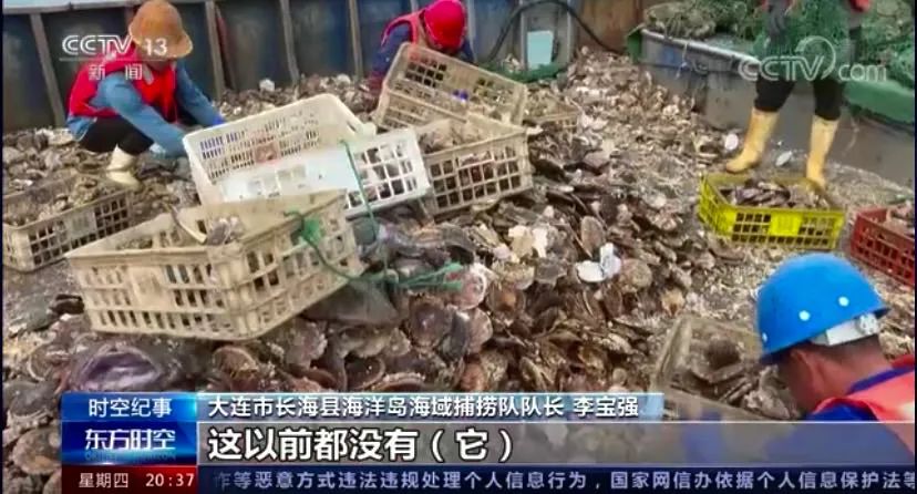 央视东方时空纪录片,央视新闻纪录片东方时空