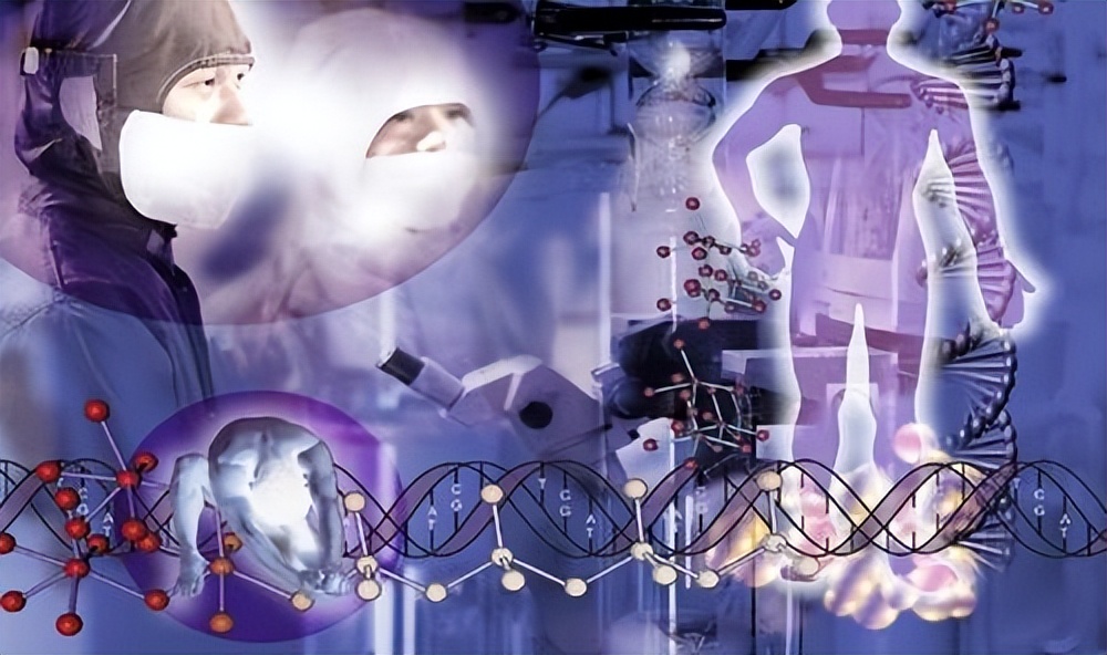 实验猴价格暴涨20余倍,实验猴价格飙涨20倍的原因