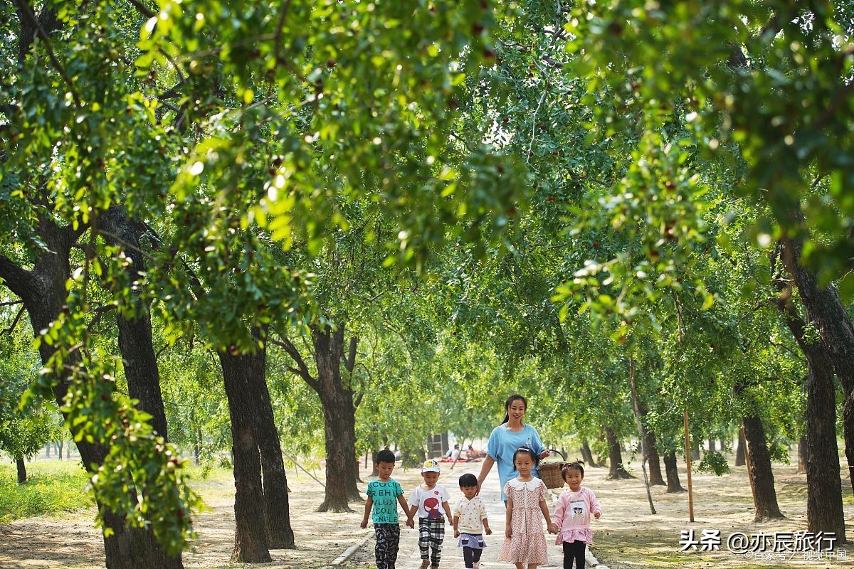 德州周边游推荐景点,德州周边的景点推荐一日游