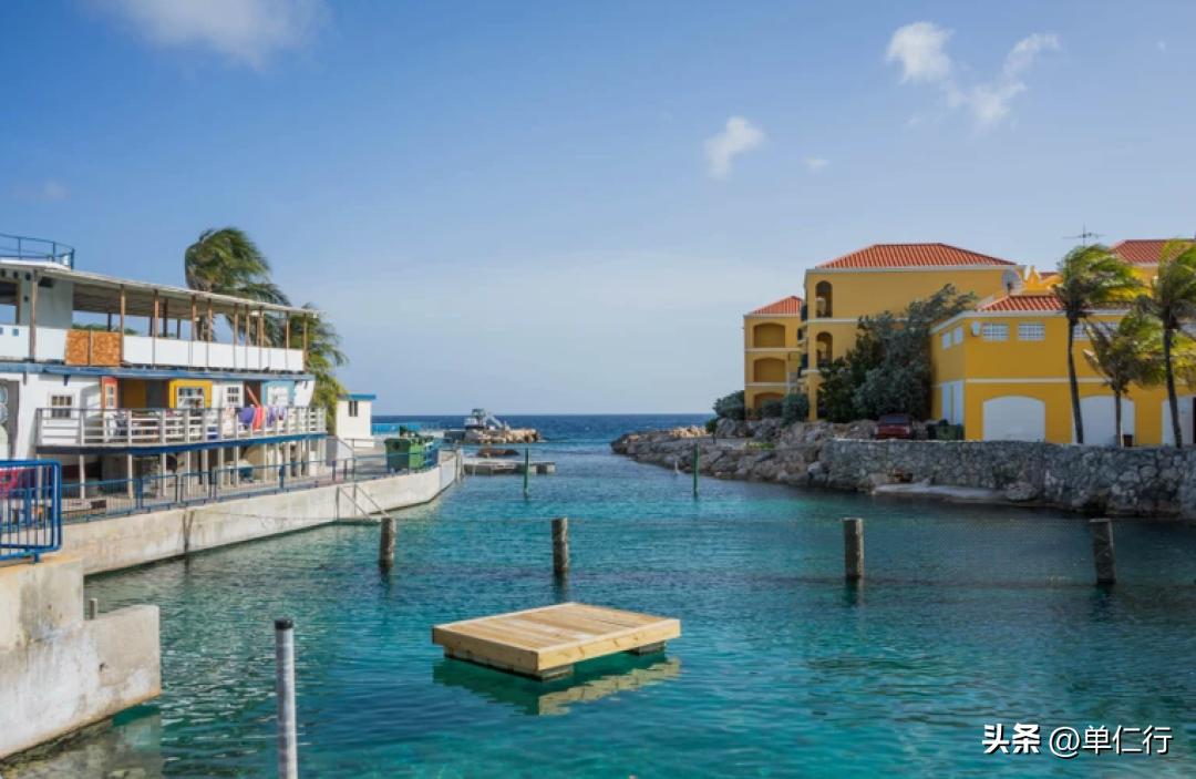 企业是怎么找到新的生意机会的,现在能活下来的企业