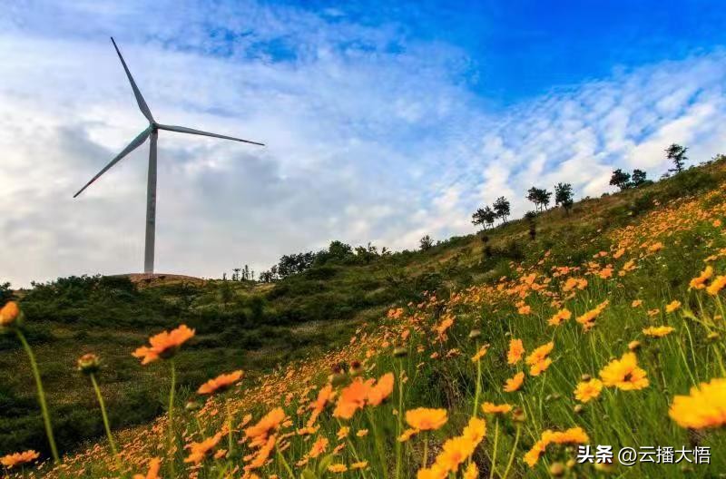 孝感大悟抽水蓄能电站,大悟抽水蓄能电站最新消息
