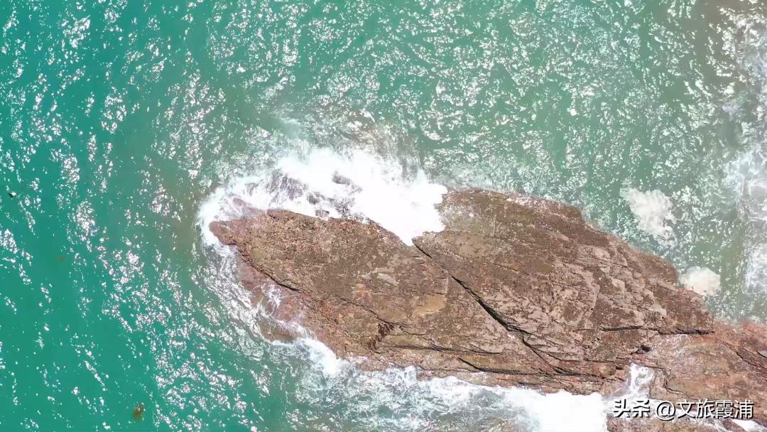 东海1号海钓,东海1号