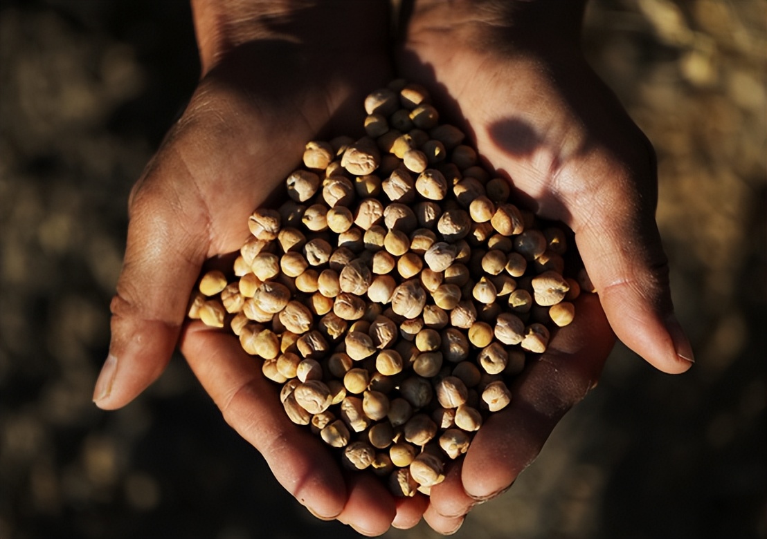 好原料造就好味道团购,良品铺子好食材造就好味道