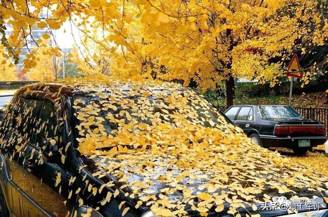 玻璃水去油膜是智商税吗,宝利伦油膜清洁剂是智商税吗