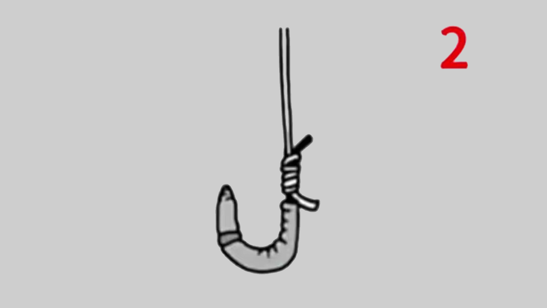 钓鱼蚯蚓挂钩方法有哪些,用蚯蚓钓鱼正确的挂钩方法