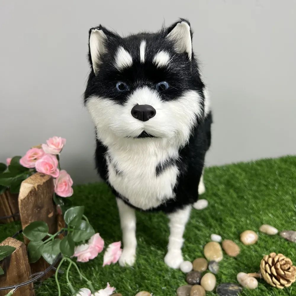 居家嗨购网上购买,居家嗨购年货直播批发