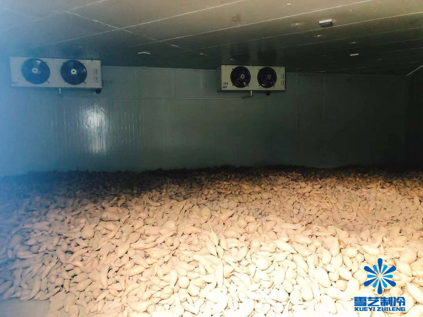 建造冷库哪种最赚钱,建冷库能赚钱吗