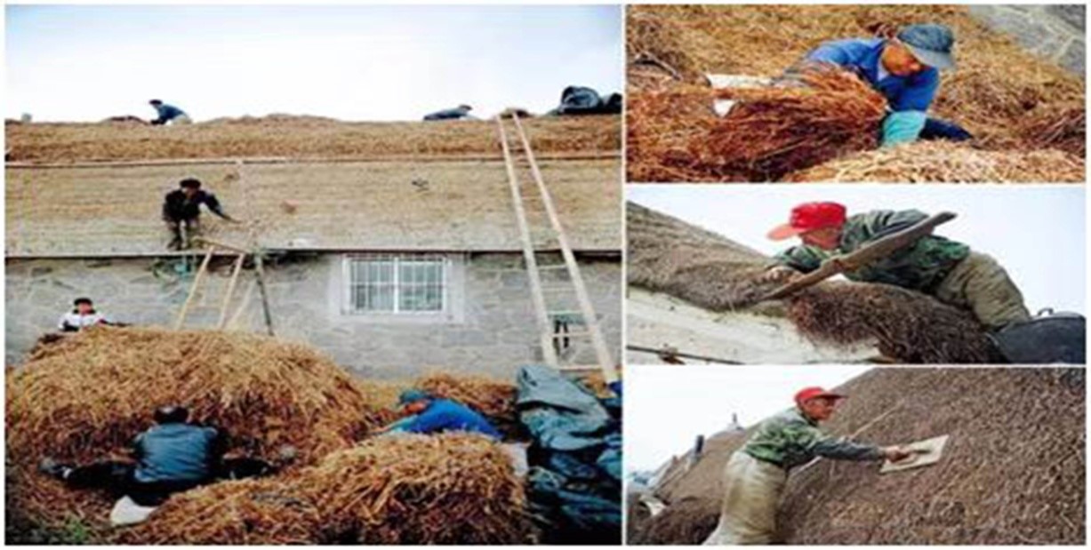 胶东海草房简介,胶东原始的海草房