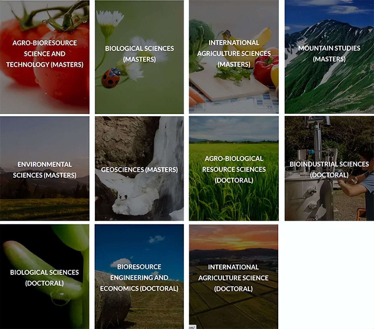 日本筑波大学在哪,日本最大的学校建在哪里了