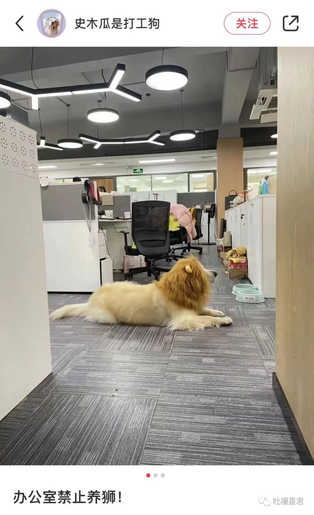 千万不要乱起淘宝名字,千万不要随便起淘宝名