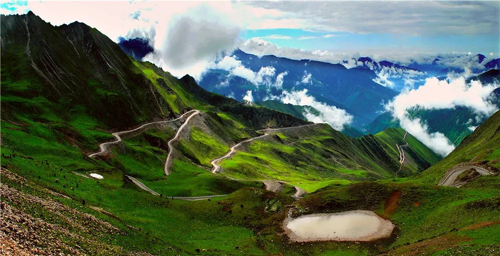 非遗奇遇记端午赛龙舟,端午节赛龙舟比较有特色文艺活动